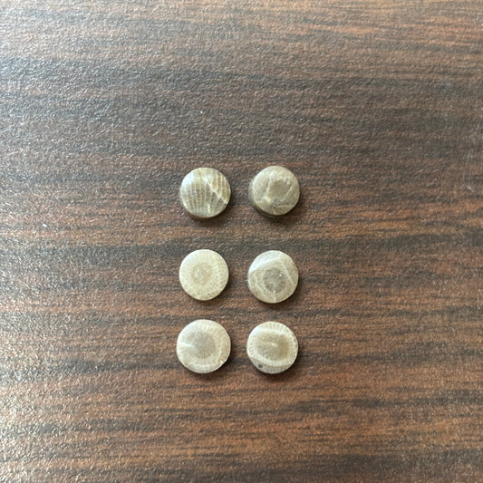 Petoskey Stone Cabochon 6mm Round