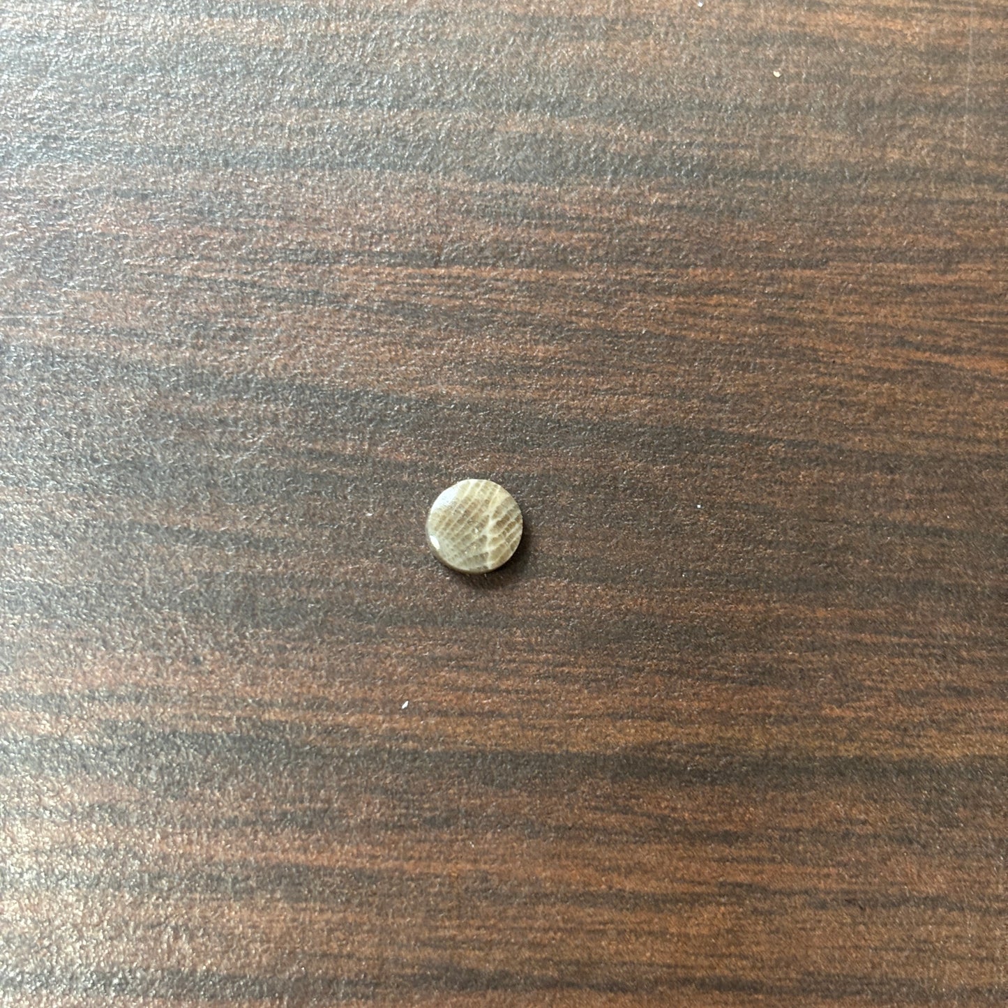 Petoskey Stone Cabochon 6mm Round