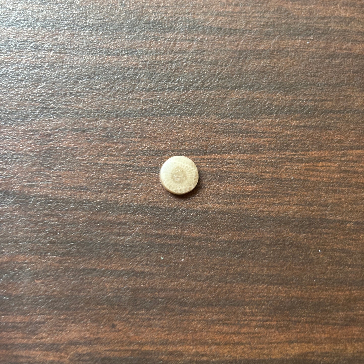 Petoskey Stone Cabochon 6mm Round