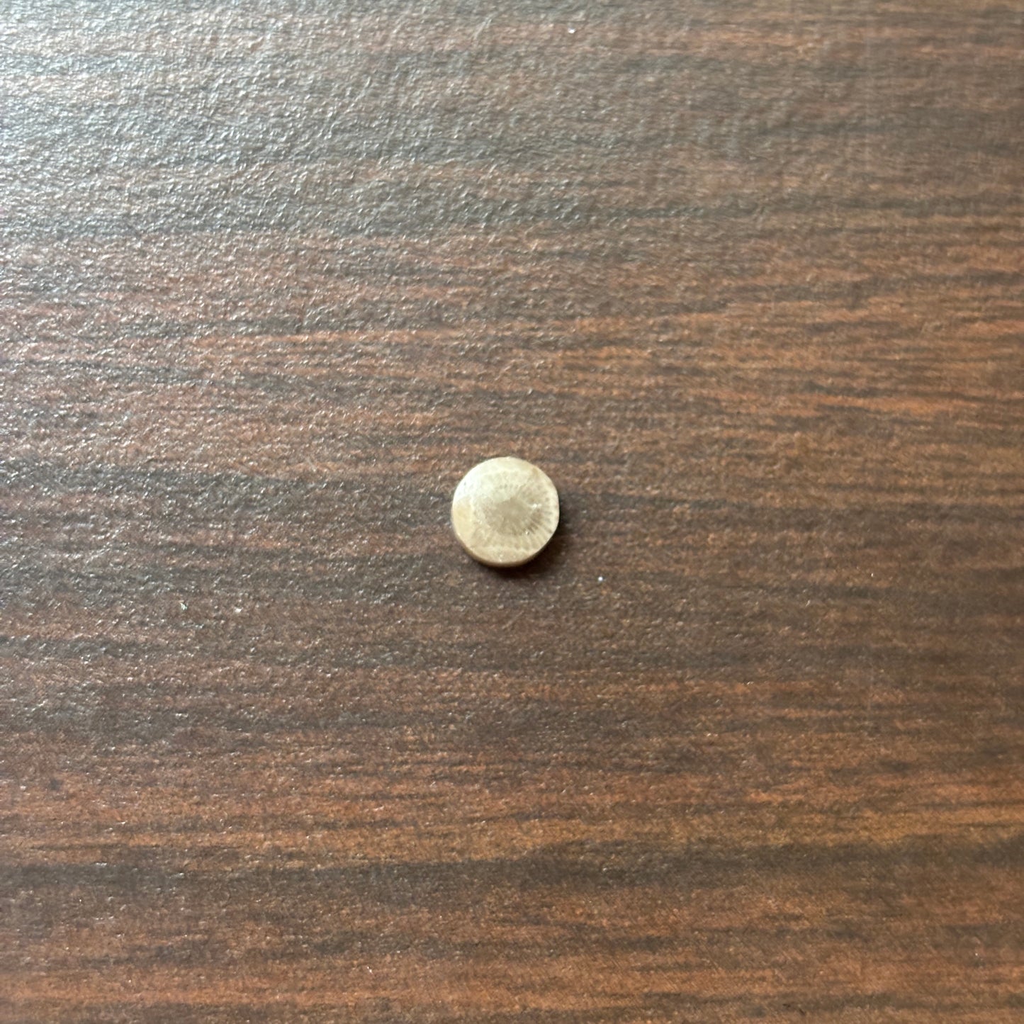 Petoskey Stone Cabochon 6mm Round