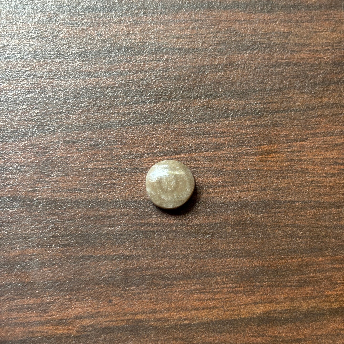 Petoskey Stone Cabochon 9mm Round