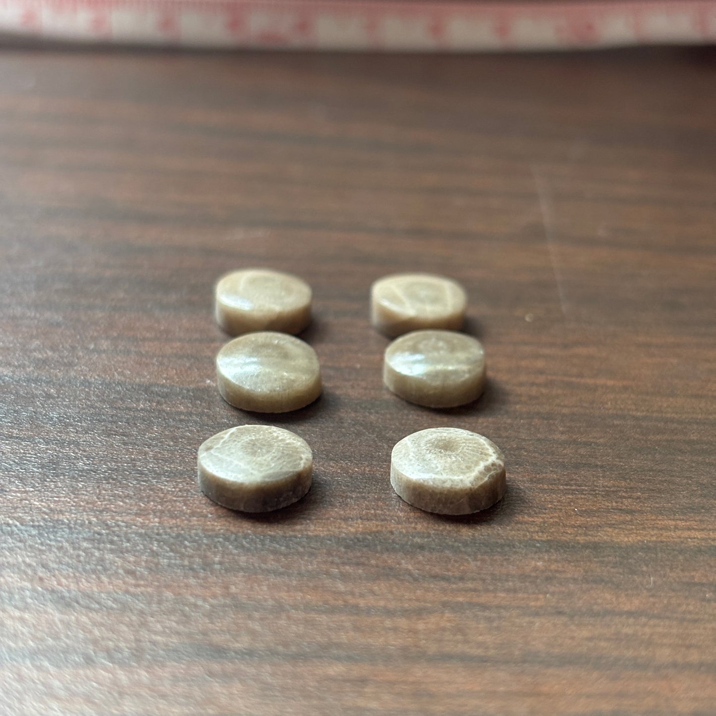 Petoskey Stone Cabochon 9mm Round