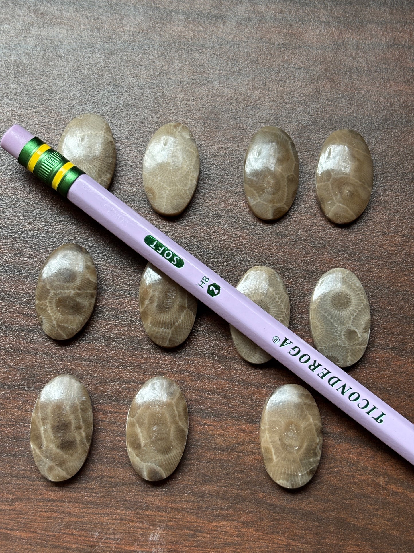 Petoskey Stone Cabochon 14mm x 24mm Oval