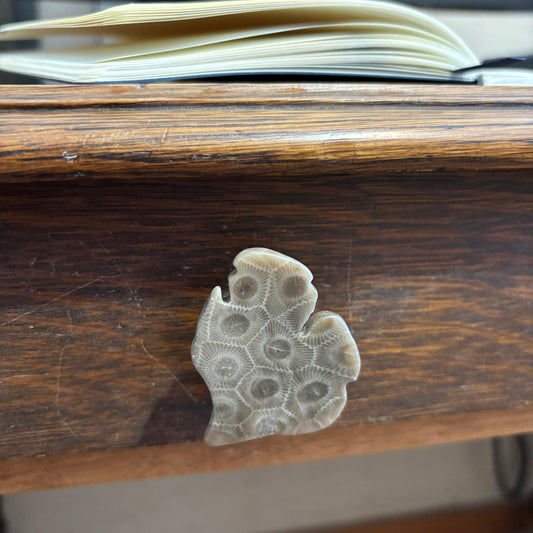 Petoskey Stone Cabinet Knob in Polished Michigan Shape