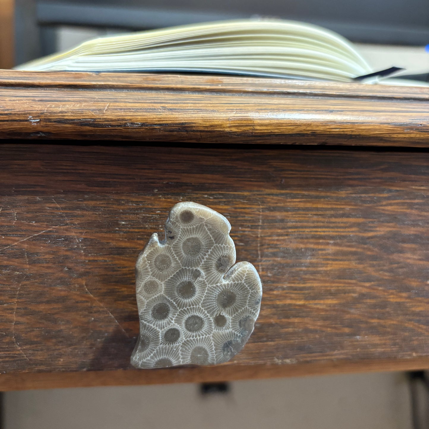 Petoskey Stone Cabinet Knob in Polished Michigan Shape
