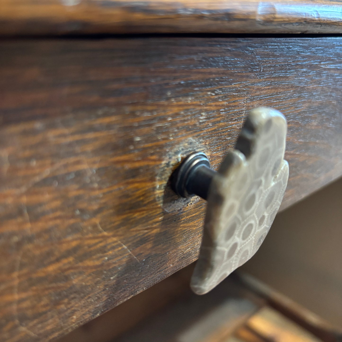 Petoskey Stone Cabinet Knob in Polished Michigan Shape