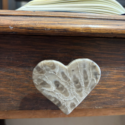 Petoskey Stone Cabinet Knob in Polished Heart Shape