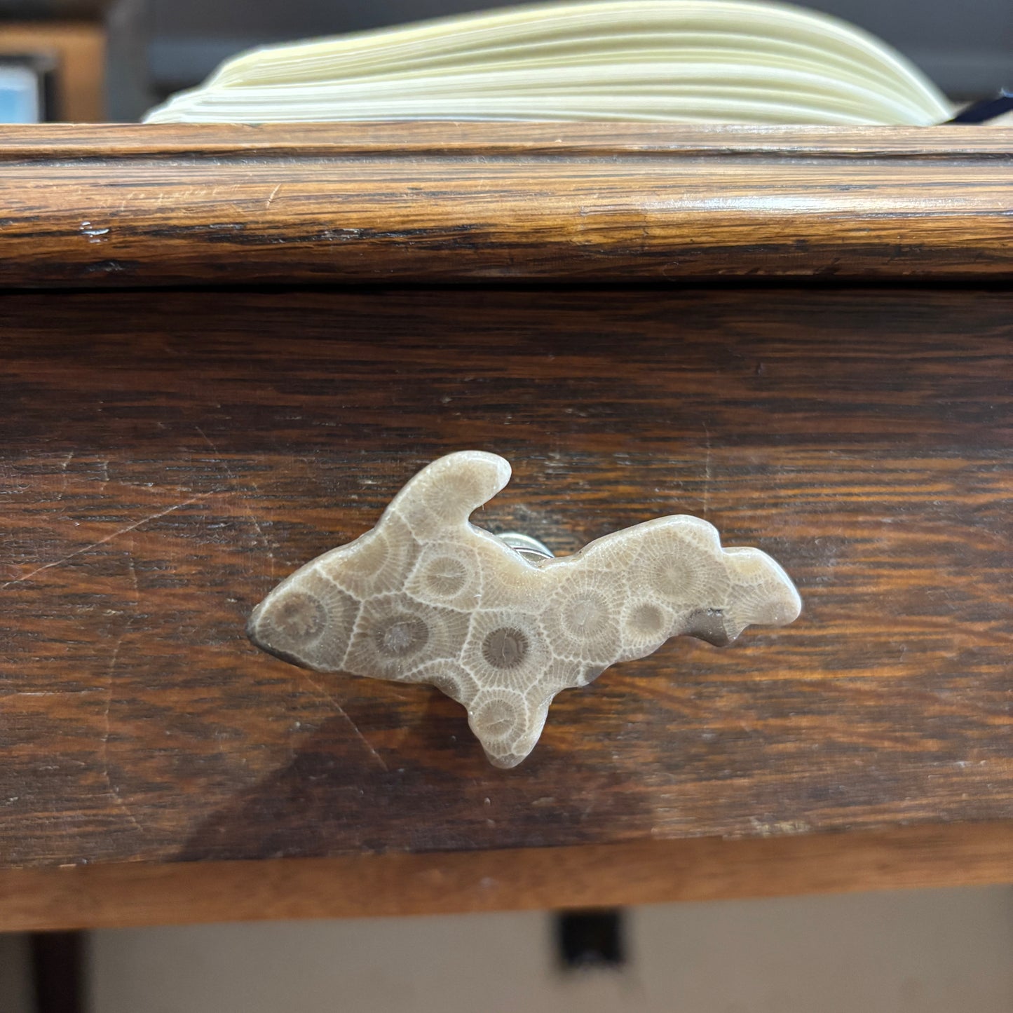 Petoskey Stone Cabinet Knob in Polished Michigan Shape