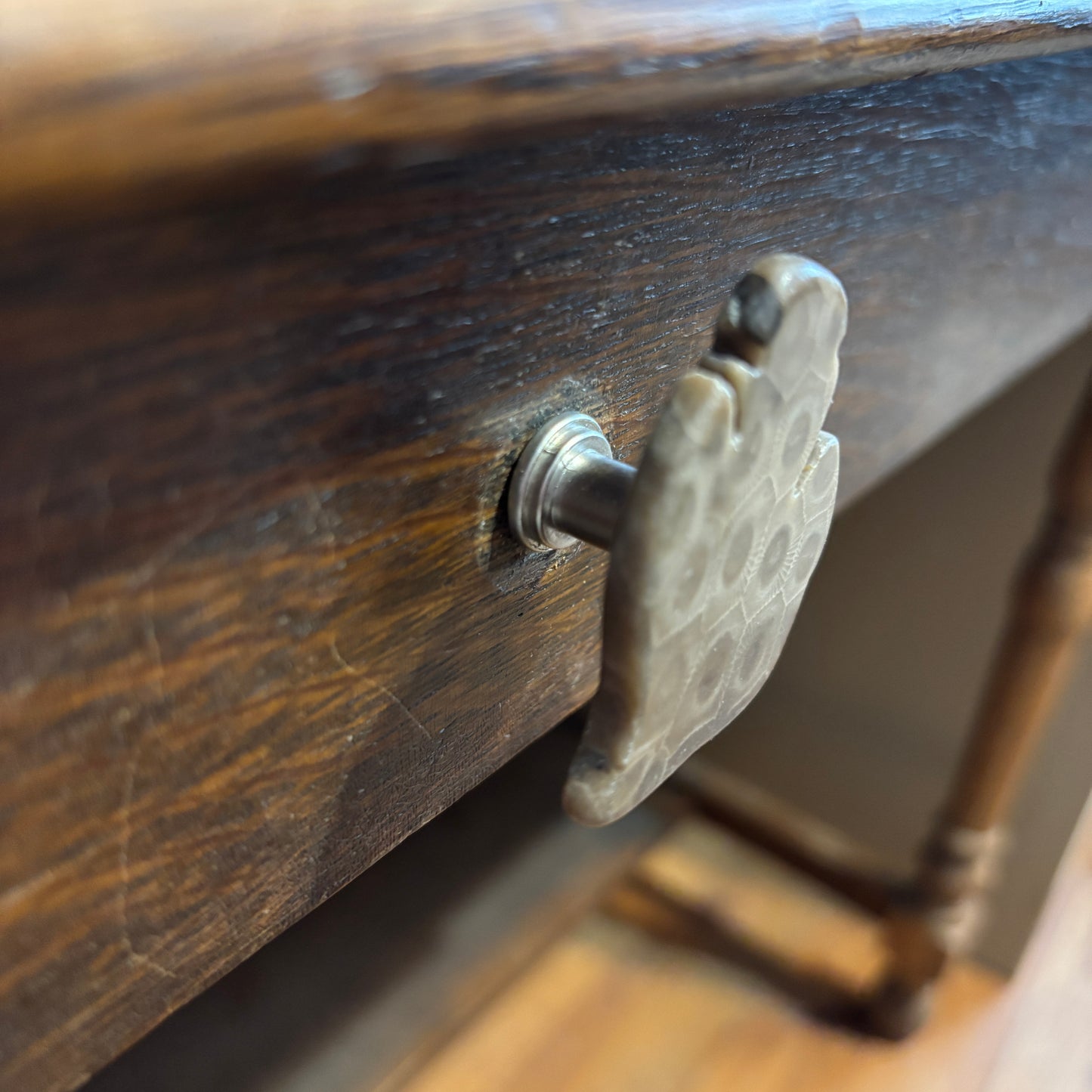 Petoskey Stone Cabinet Knob in Polished Michigan Shape