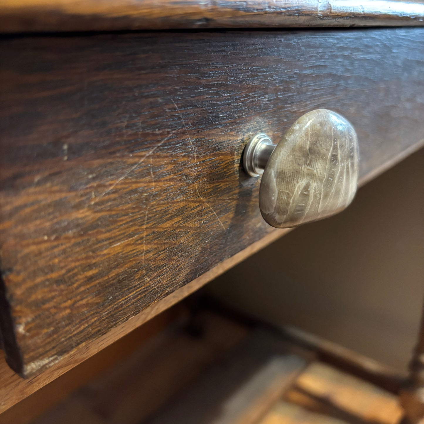 Petoskey Stone Cabinet Knob in Polished Natural Shape