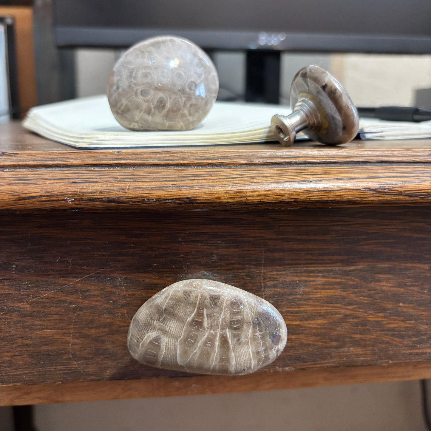 Petoskey Stone Cabinet Knob in Polished Natural Shape