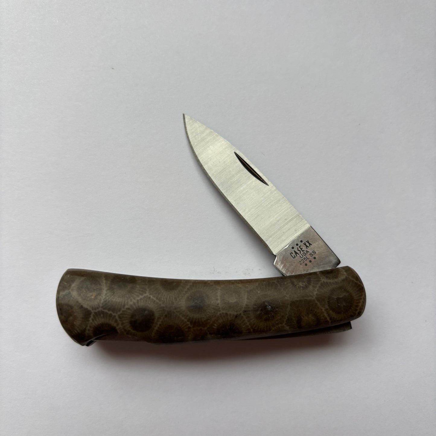 Petoskey Stone 2" Case Stainless Steel Executive Lockback Knife