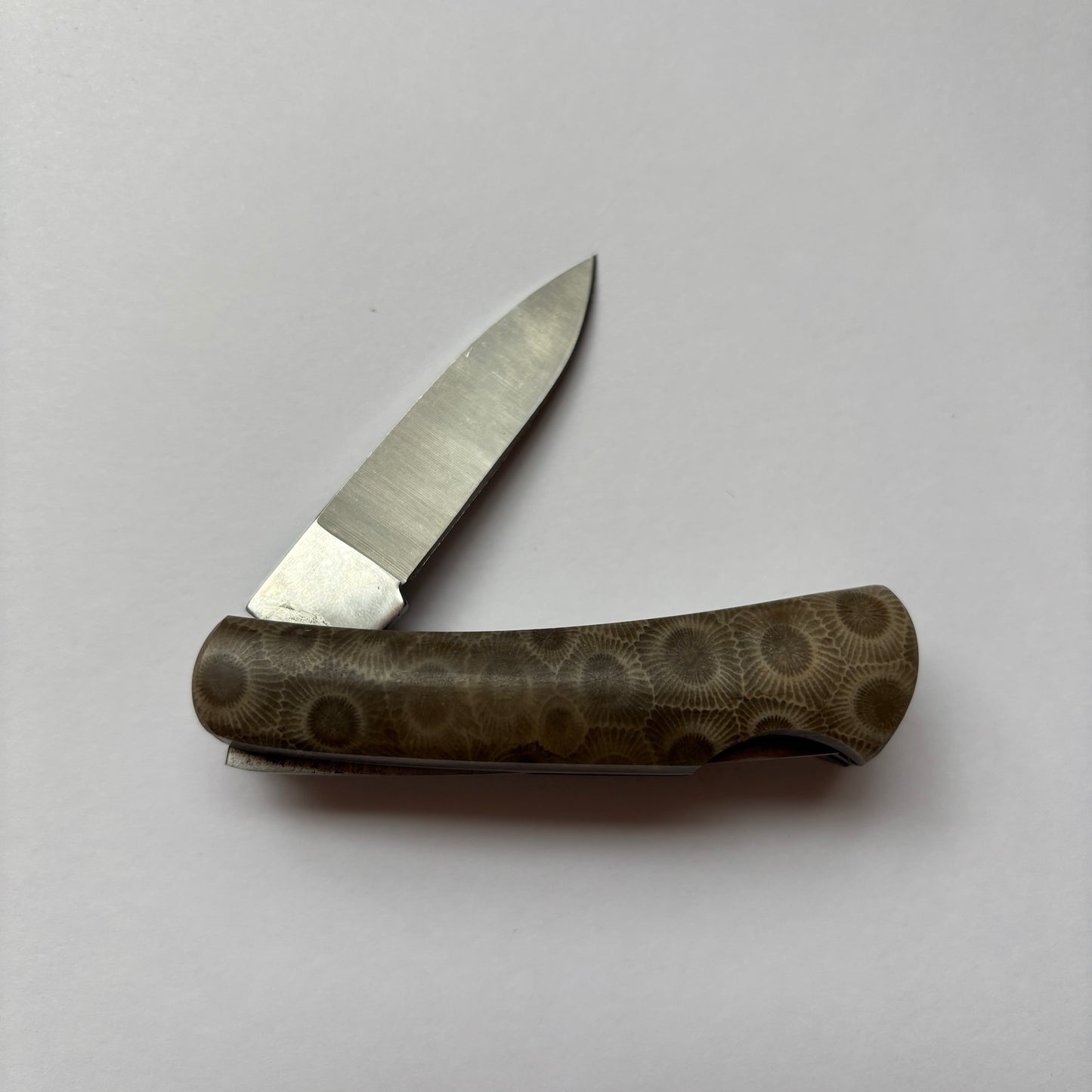 Petoskey Stone 2" Case Stainless Steel Executive Lockback Knife