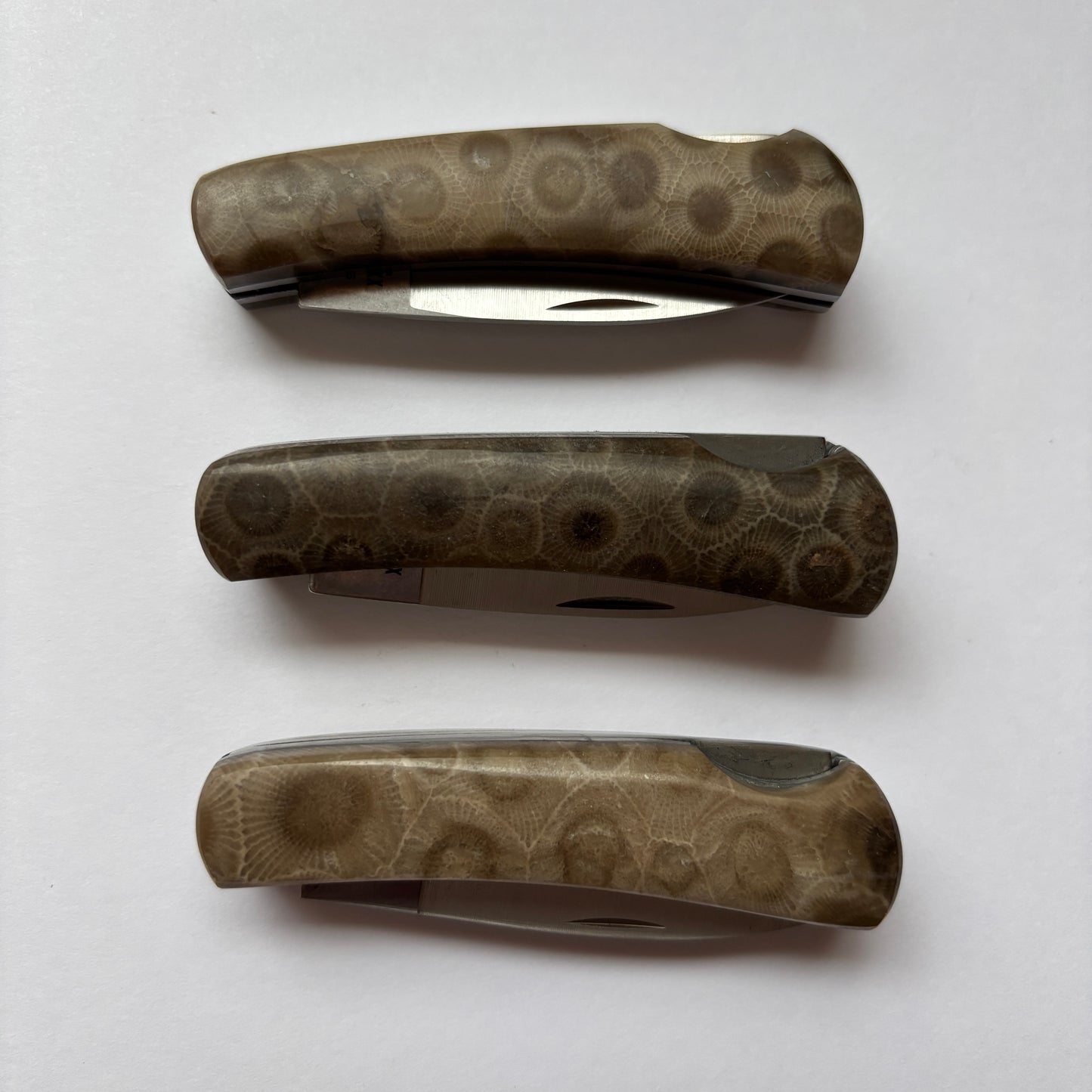 Petoskey Stone 2" Case Stainless Steel Executive Lockback Knife