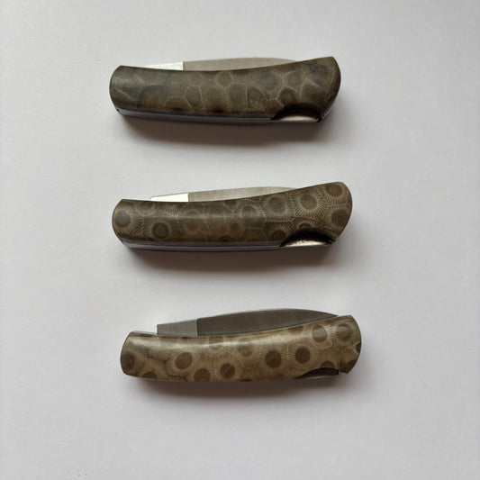 Petoskey Stone 2" Case Stainless Steel Executive Lockback Knife