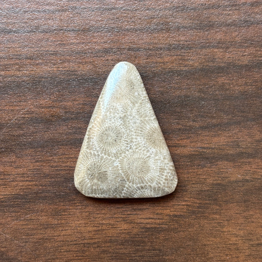 Petoskey Stone Cabochon 27mm x 35mm Rounded Isosceles Triangle