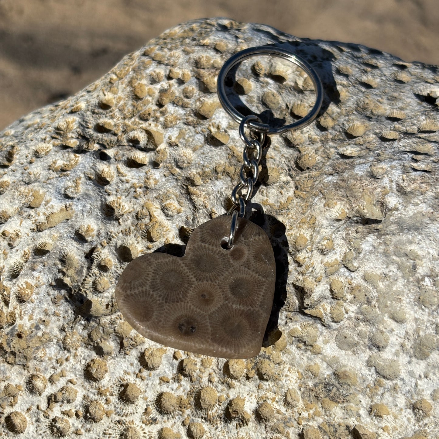Polished and Shaped Petoskey Stone Keychain
