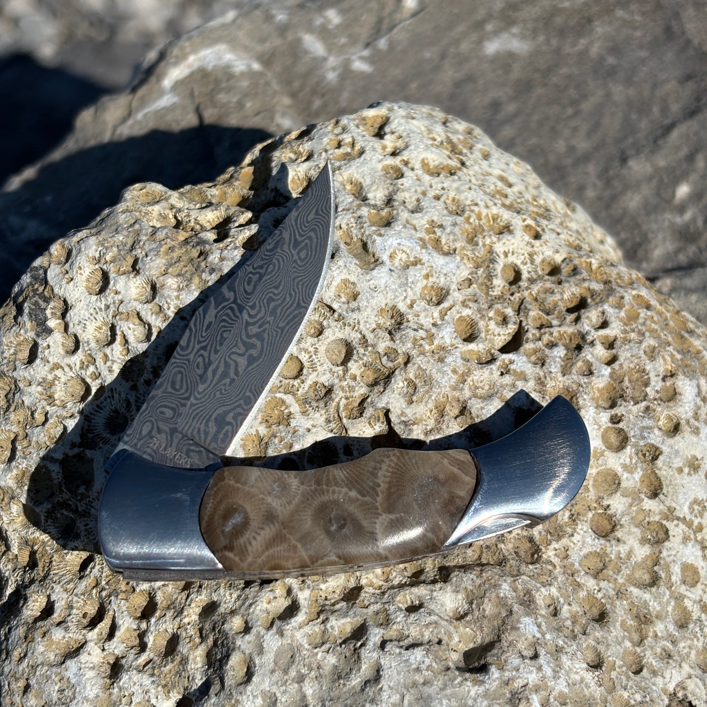 71 Layer Damascus Petoskey Stone 2" Knife
