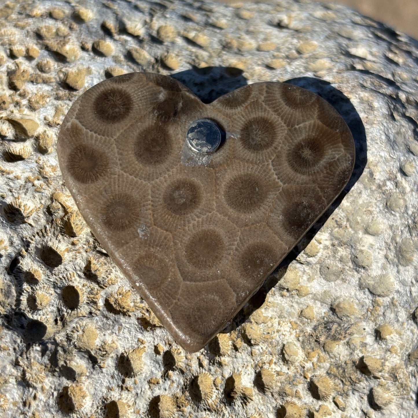 Petoskey Stone Magnets