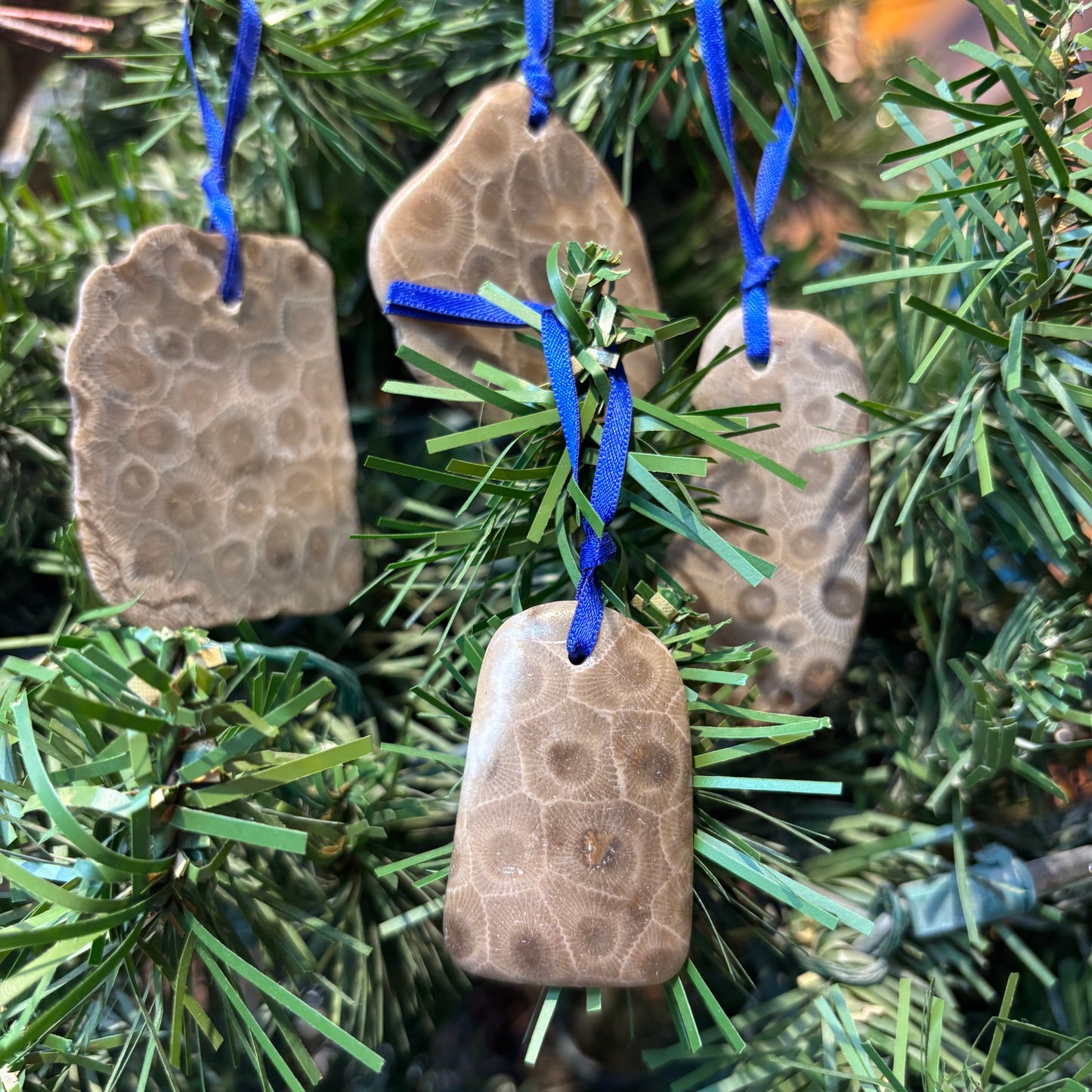 Petoskey Stone Natural Ornaments with Ribbon