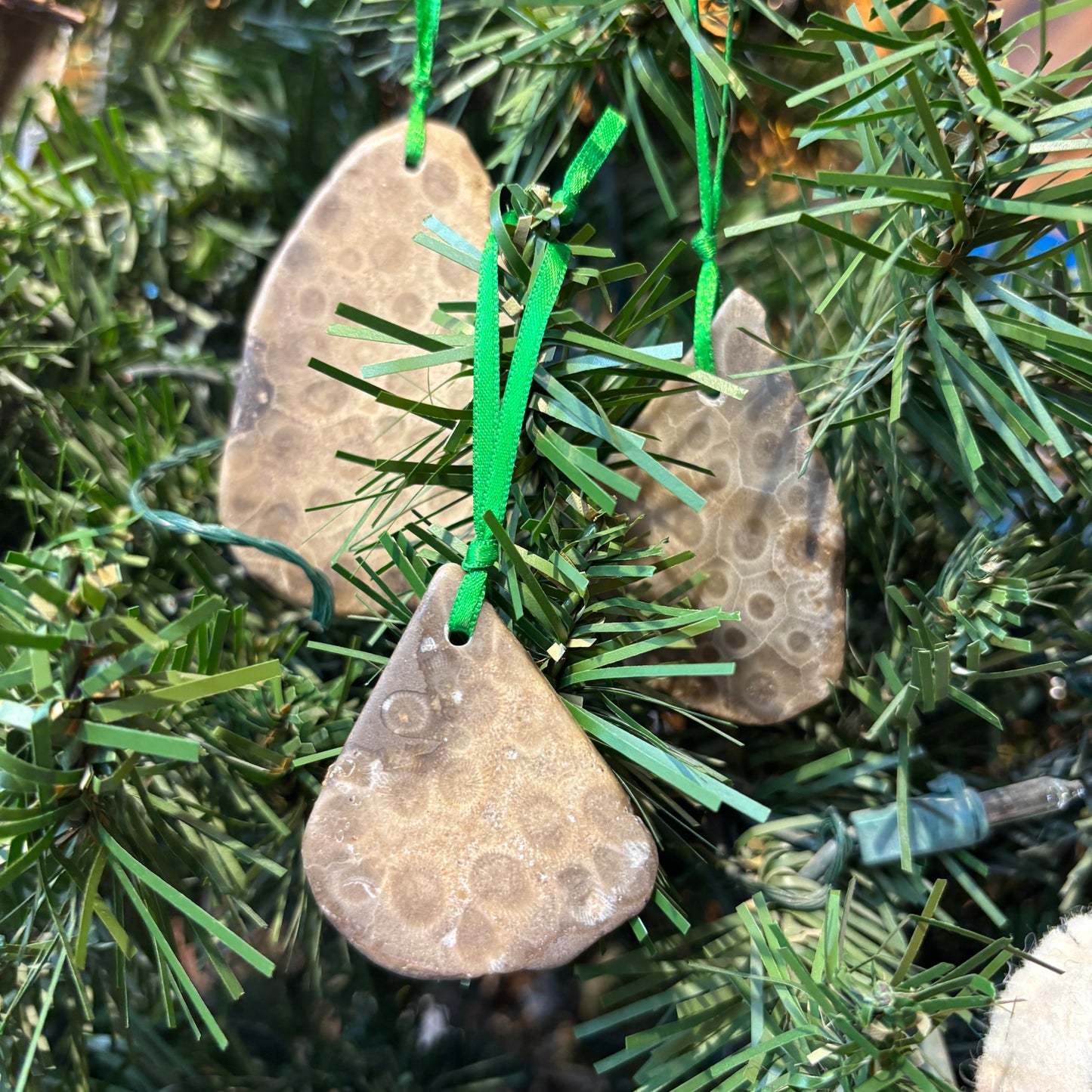 Petoskey Stone Natural Ornaments with Ribbon