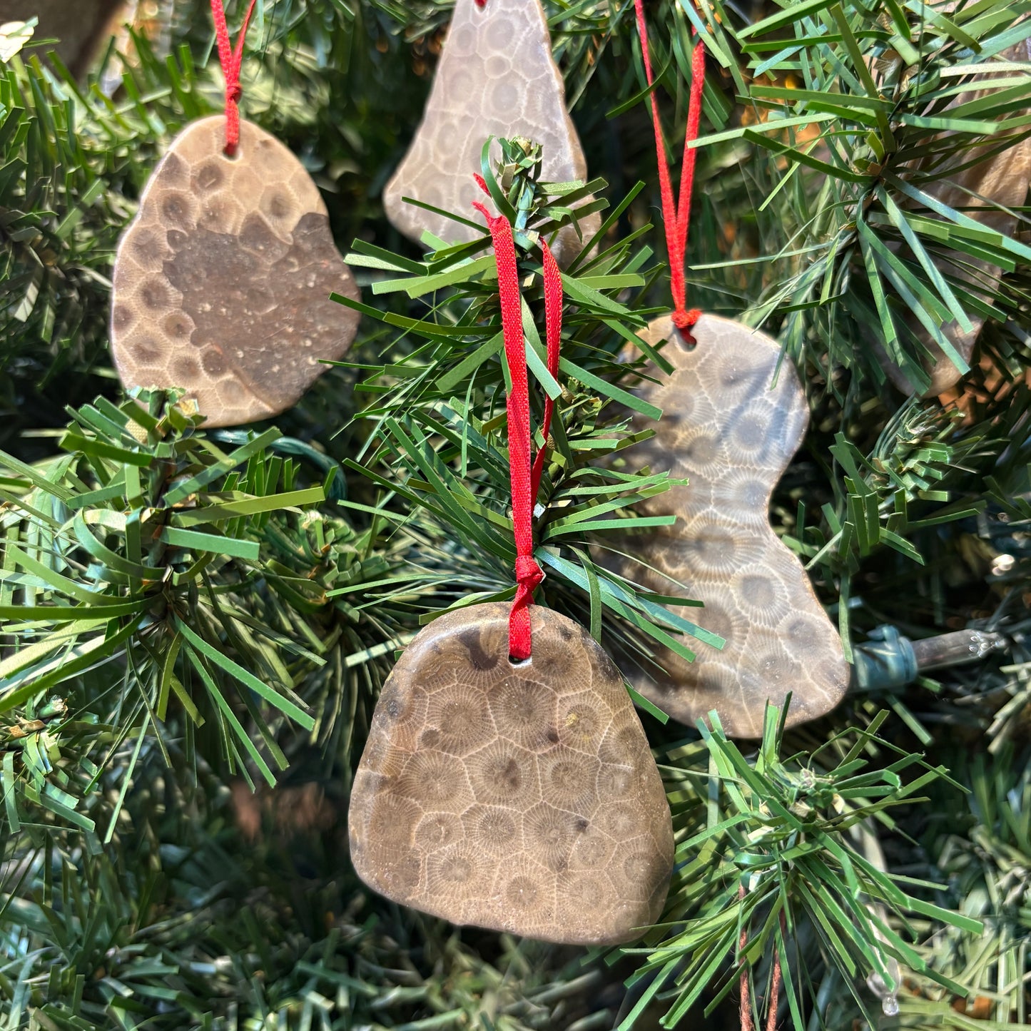 Petoskey Stone Natural Ornaments with Ribbon