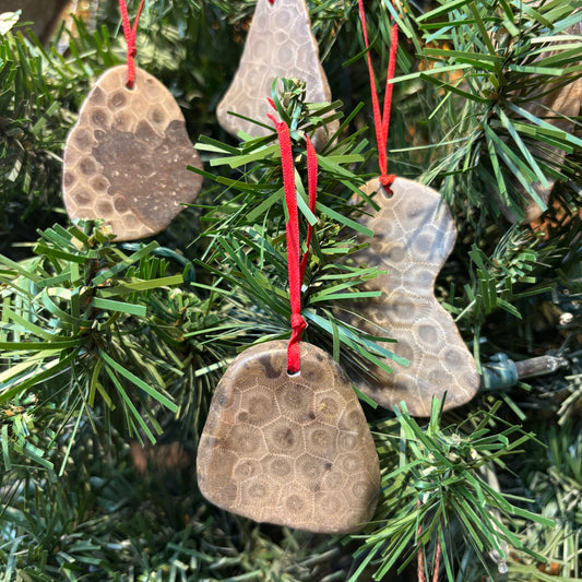 Petoskey Stone Natural Ornaments with Ribbon