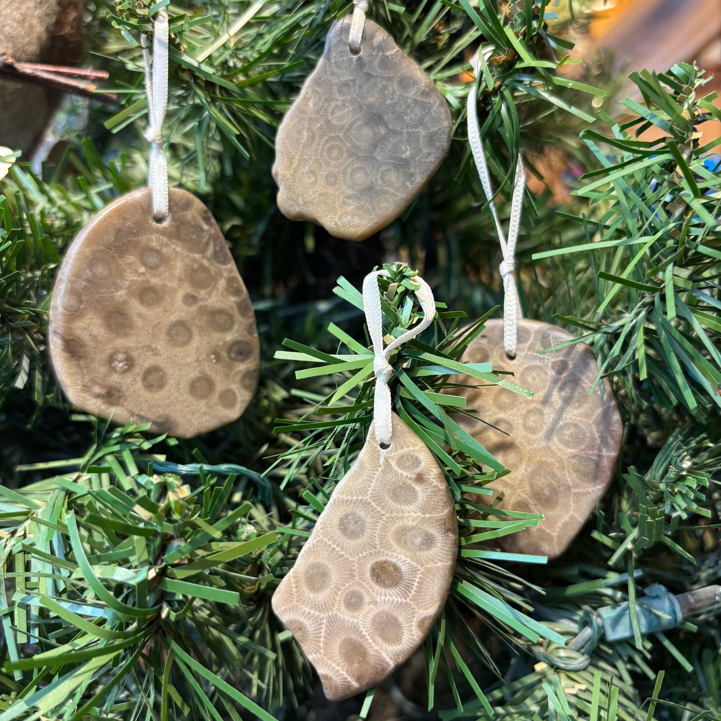 Petoskey Stone Natural Ornaments with Ribbon