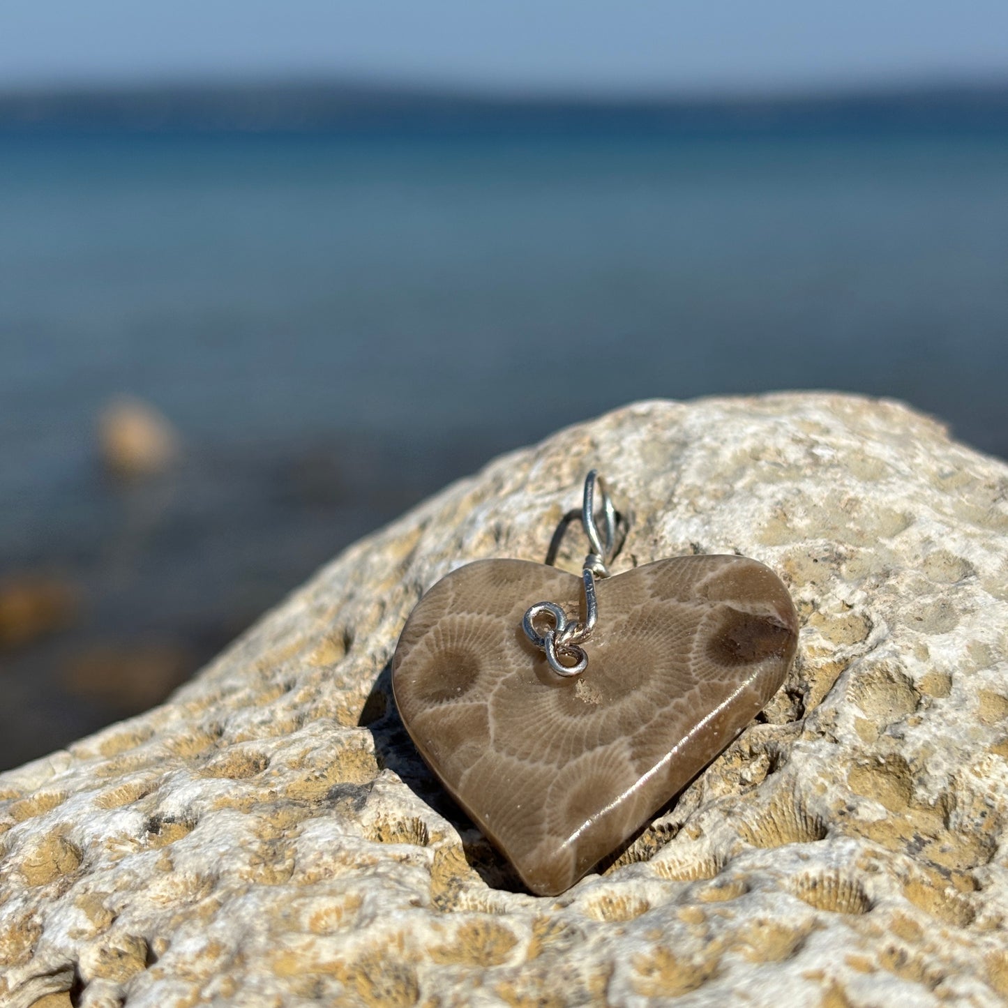 Large Simple Petoskey Stone Charms