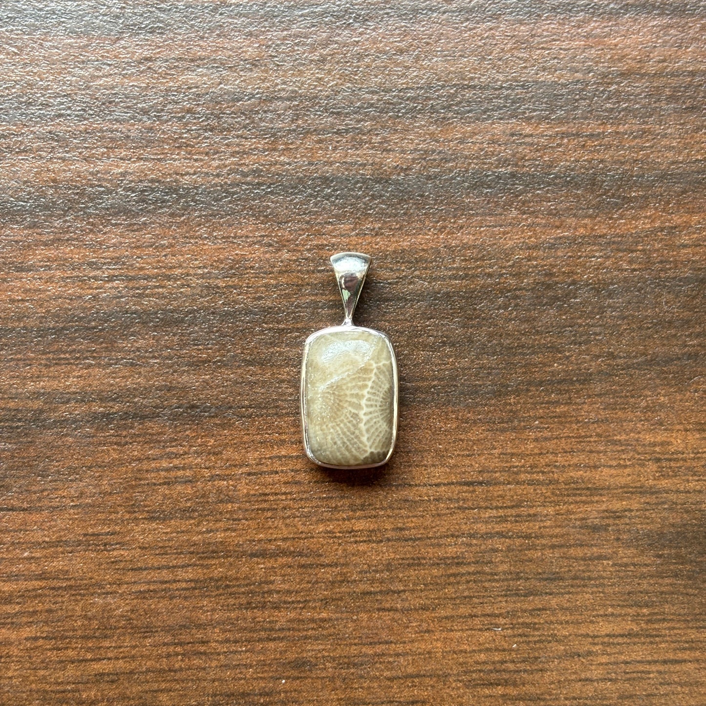 Petoskey Stone Pendant Encased in Sterling Silver