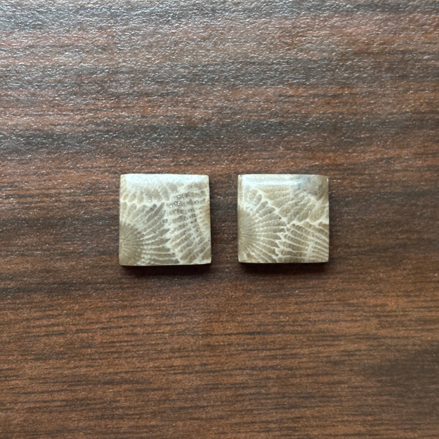 Petoskey Stone Cabochon 12mm Square