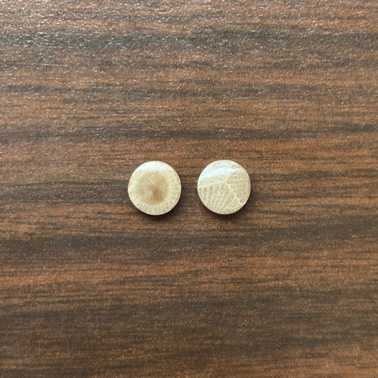 Petoskey Stone Cabochon 8mm Round