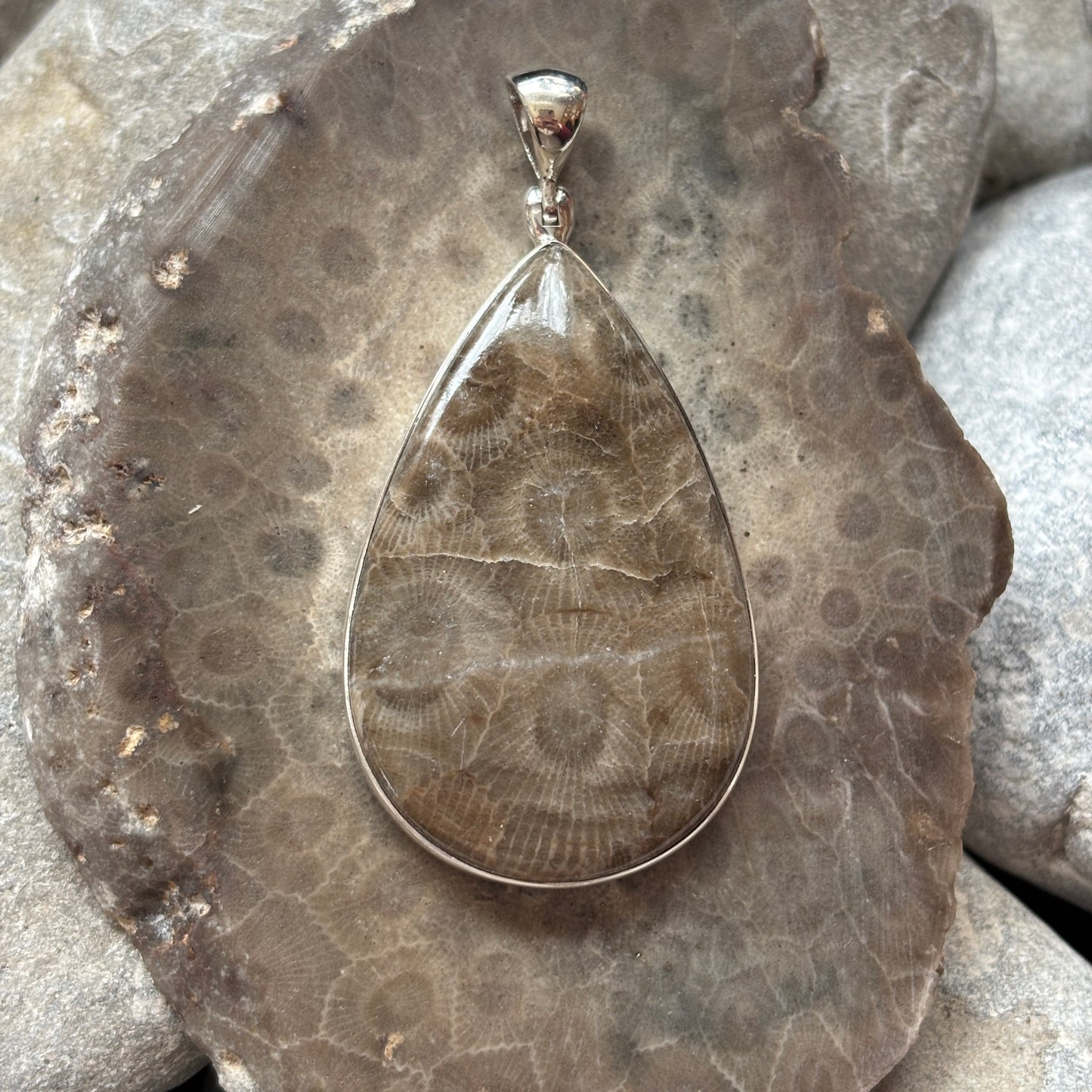Petoskey Stone Necklace Pendant Encased in Sterling Silver Teardrop Shape