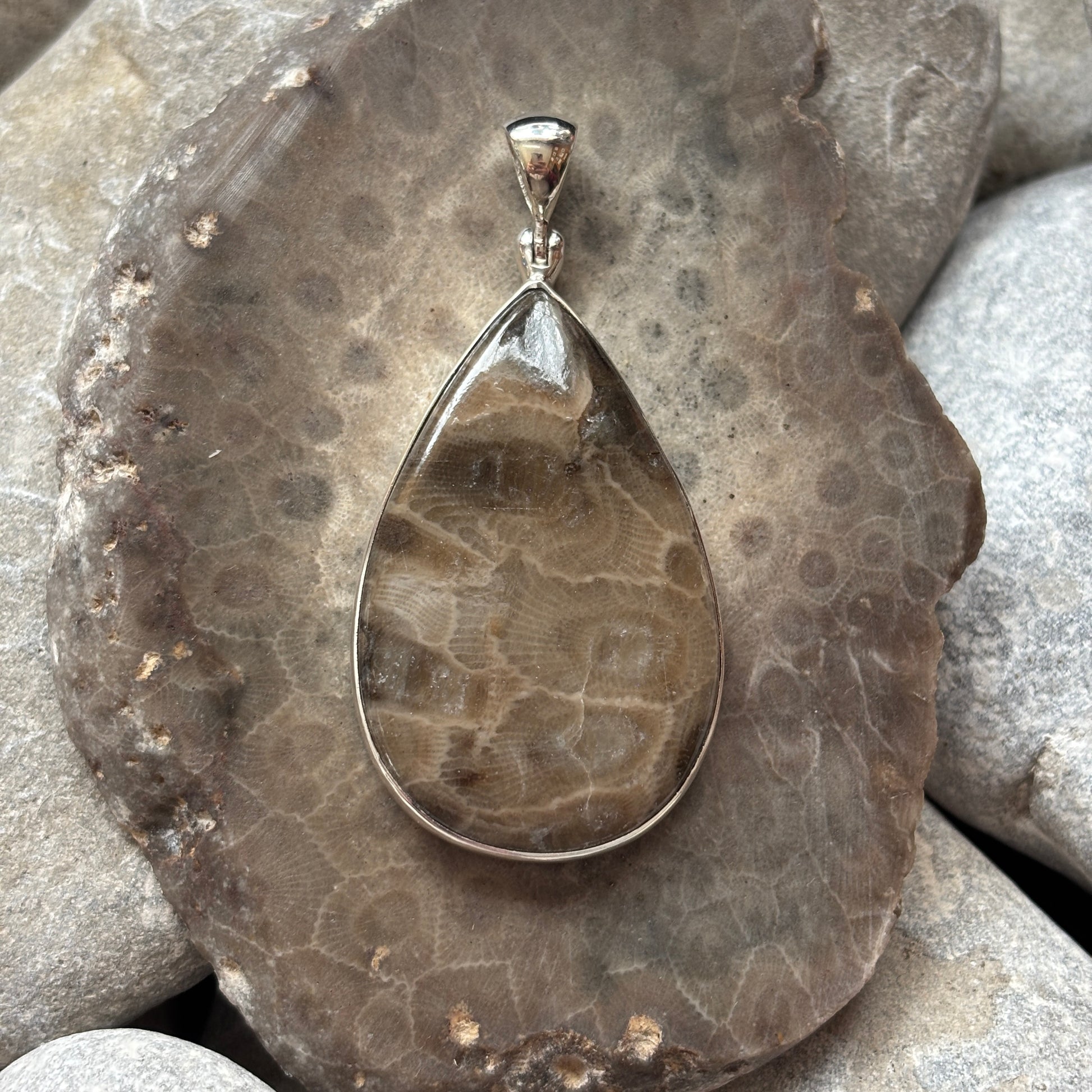 Teardrop-shaped pendant on a textured Petoskey stone surface