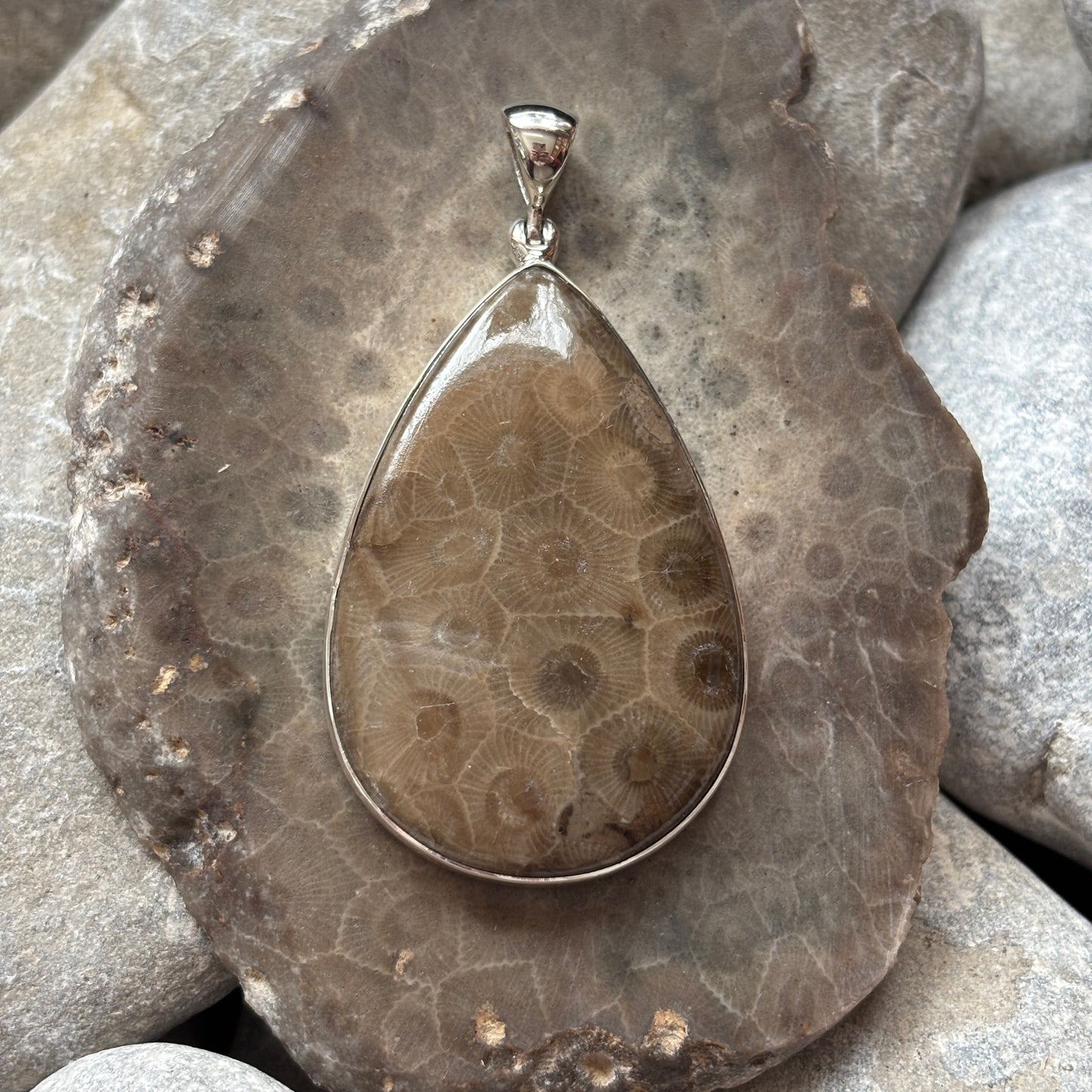 Petoskey Stone Necklace Pendant Encased in Sterling Silver Teardrop Shape