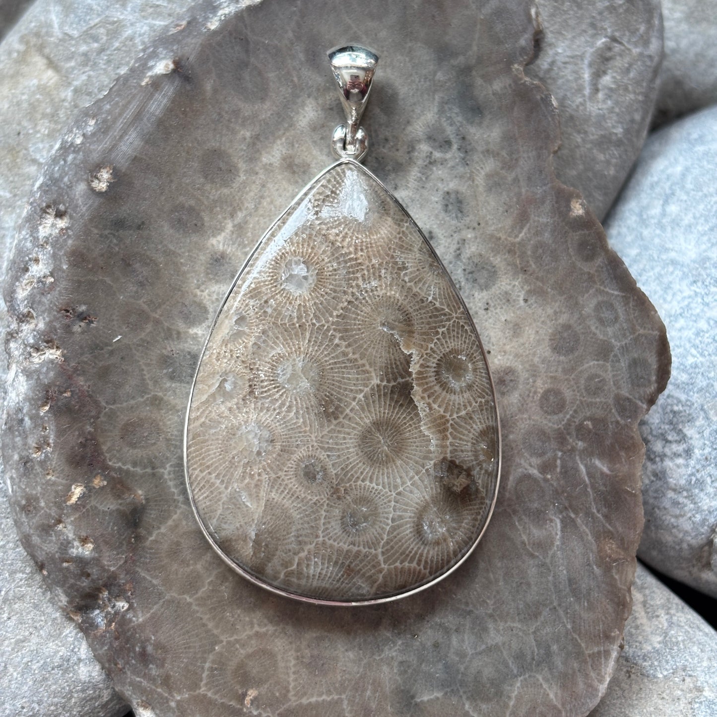 Petoskey Stone Necklace Pendant Encased in Sterling Silver Teardrop Shape