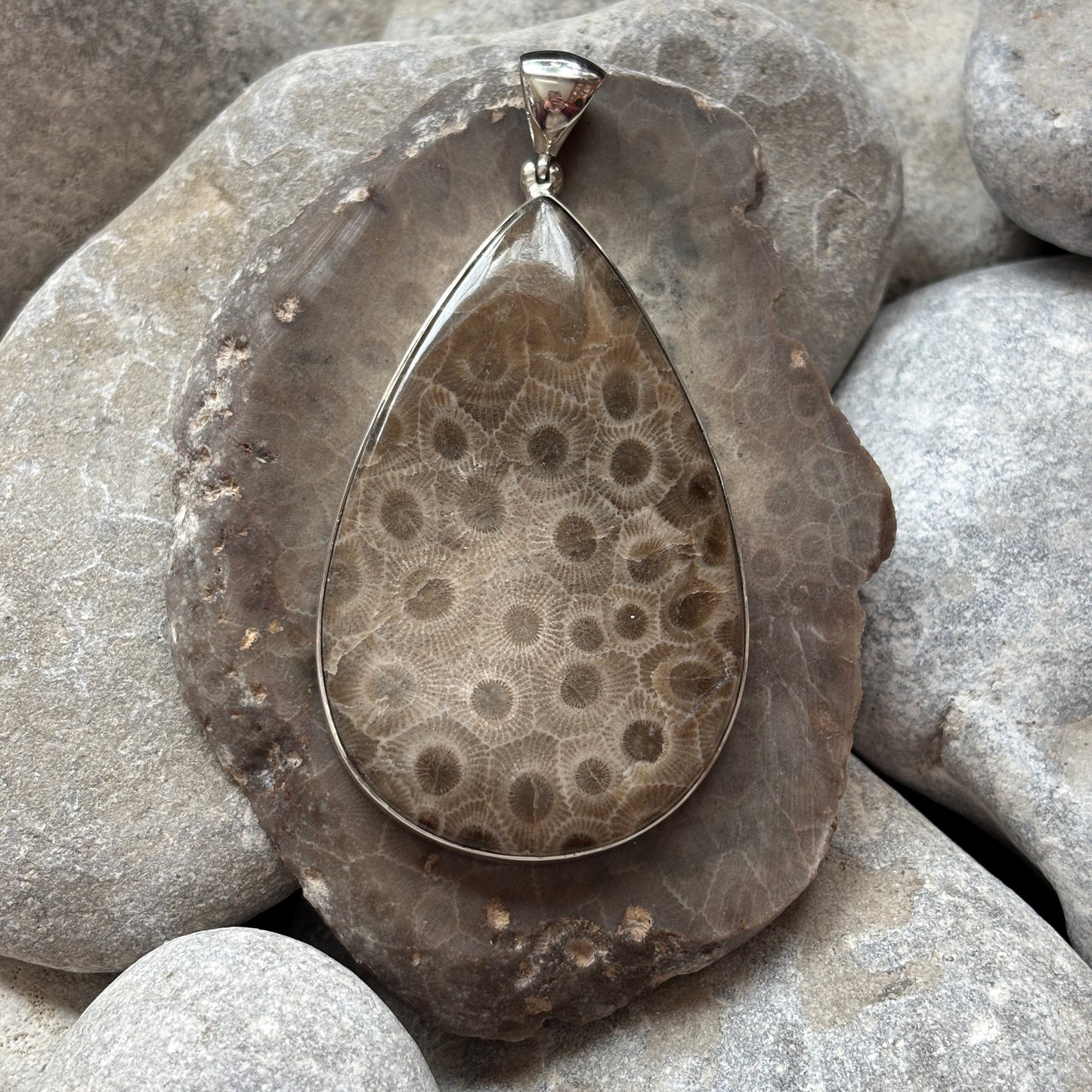 Petoskey Stone Necklace Pendant Encased in Sterling Silver Teardrop Shape