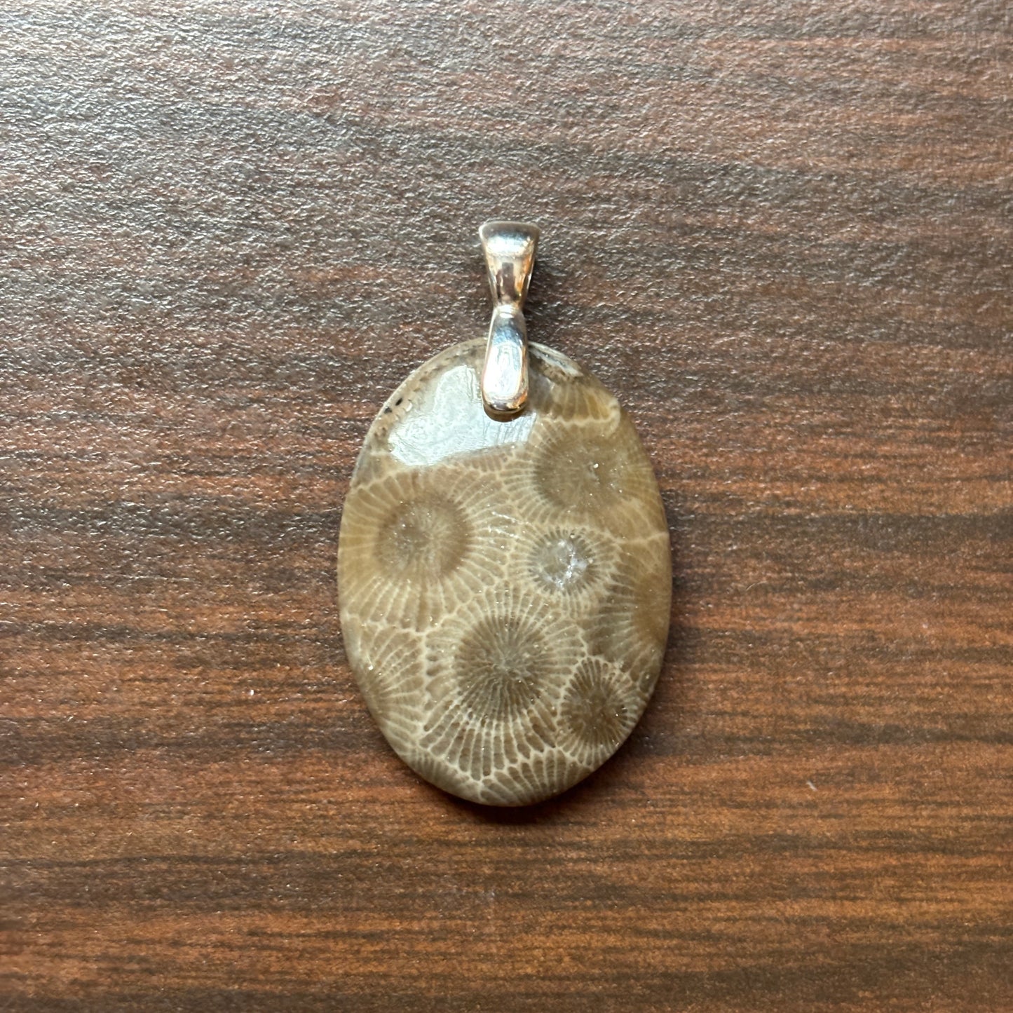 Petoskey Stone Pendant 20x28mm Oval