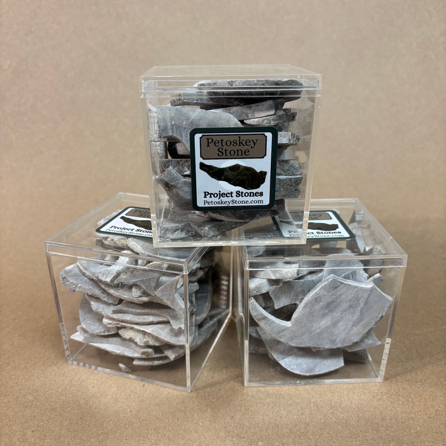 Petoskey Stone Project Stones