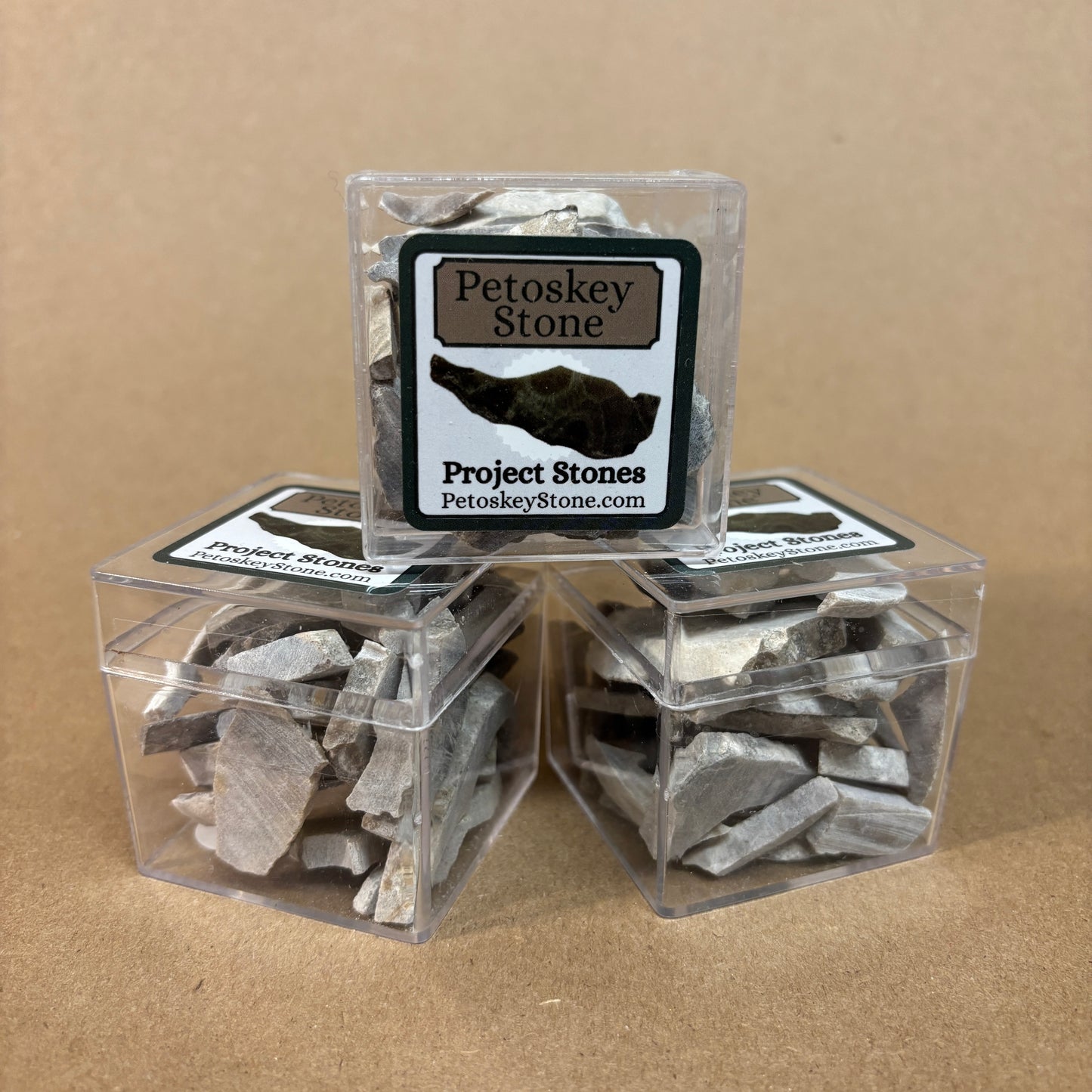 Petoskey Stone Project Stones