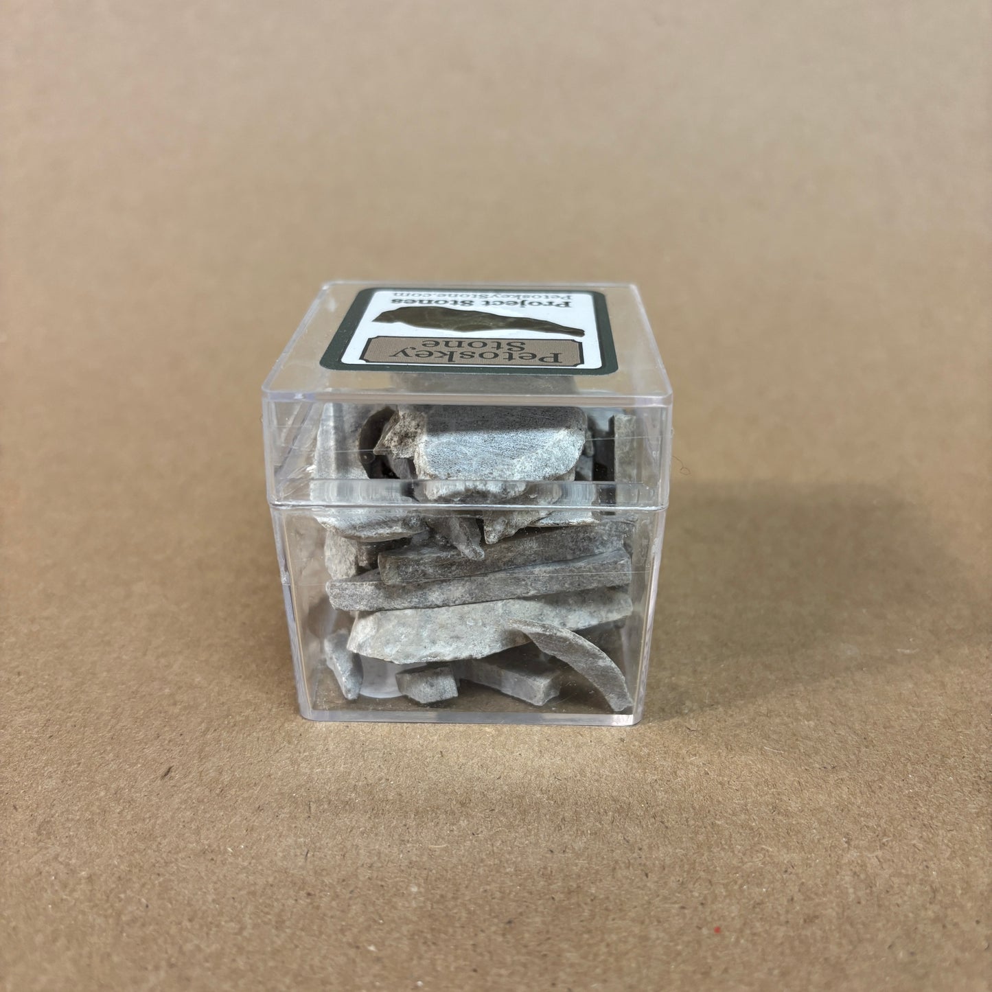 Petoskey Stone Project Stones