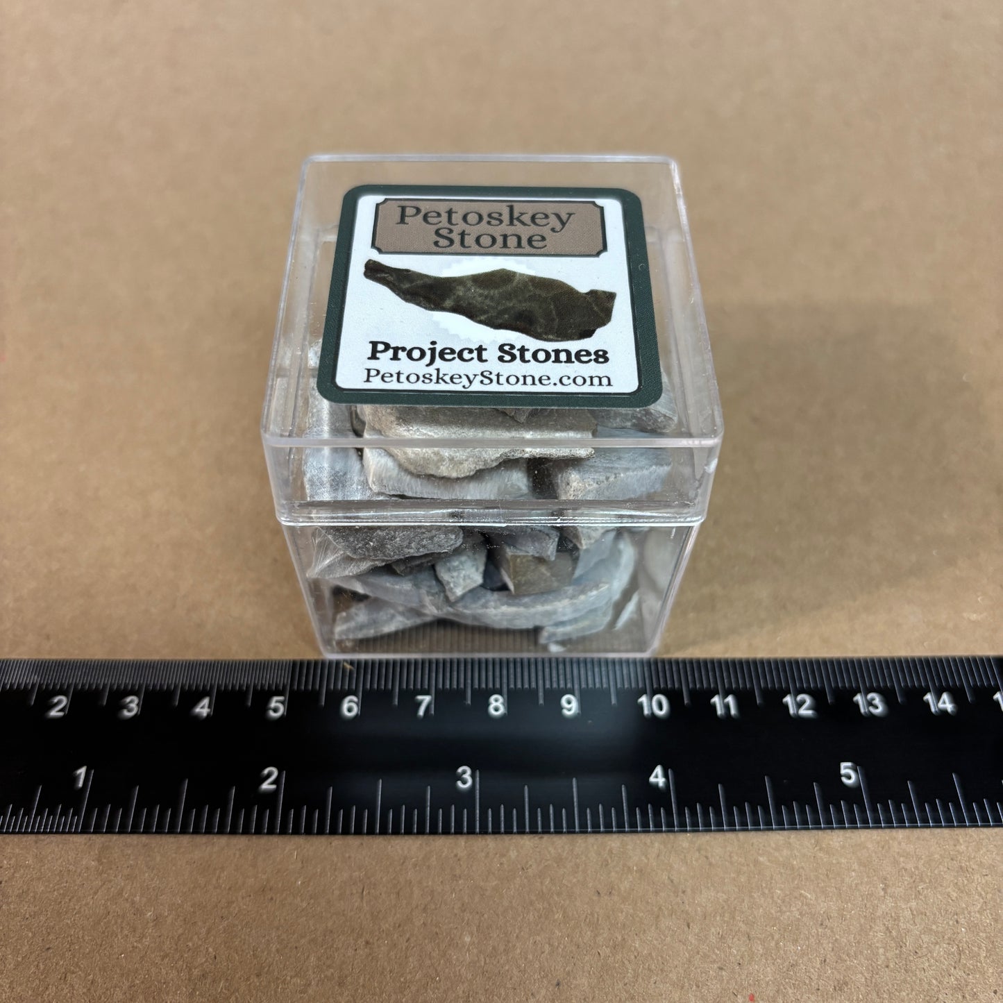 Petoskey Stone Project Stones