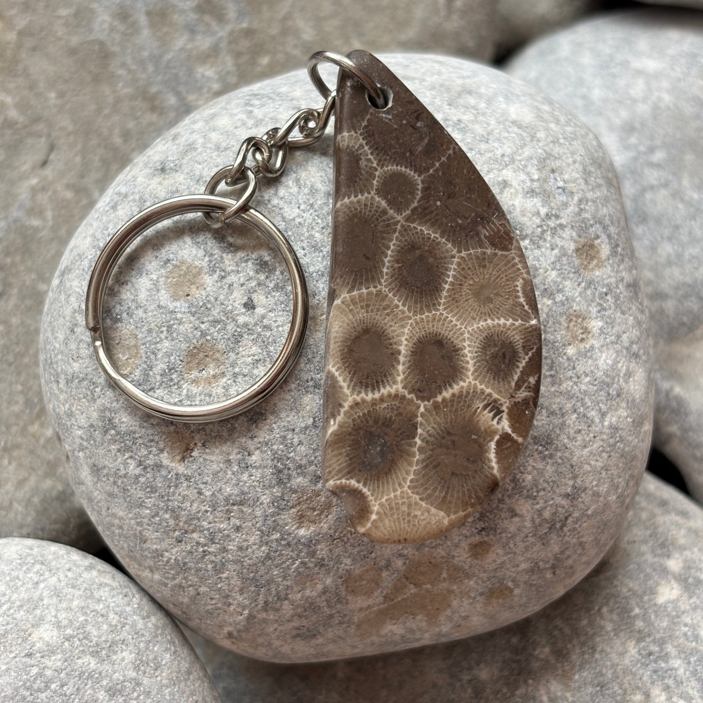 Polished Petoskey Stone Keychain