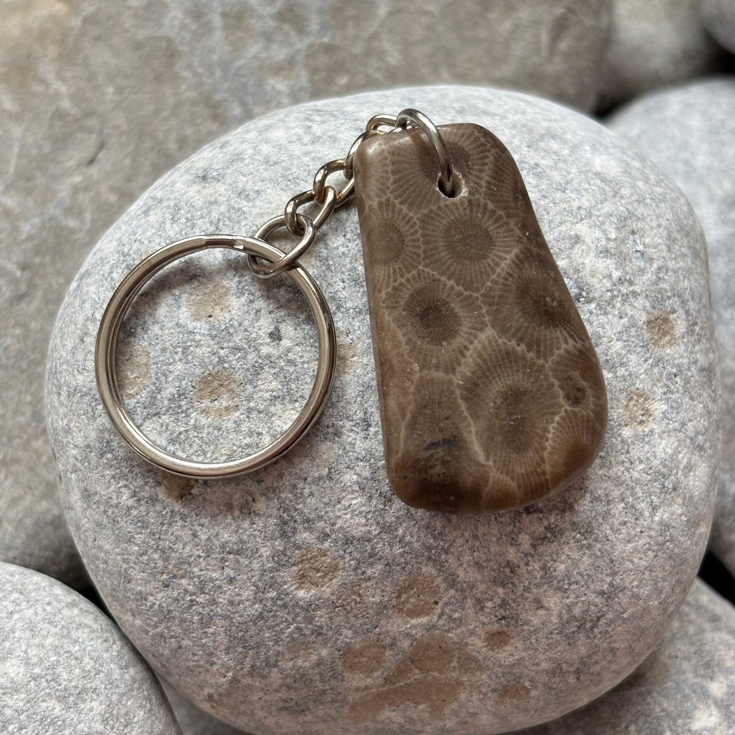 Polished Petoskey Stone Keychain