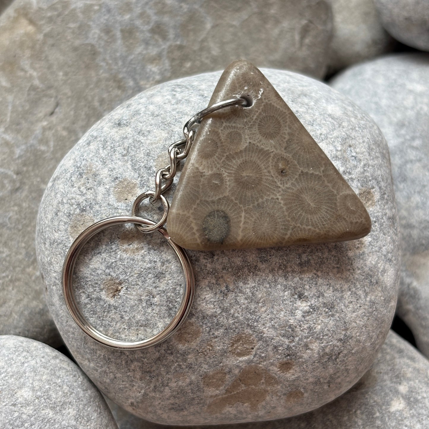 Polished Petoskey Stone Keychain