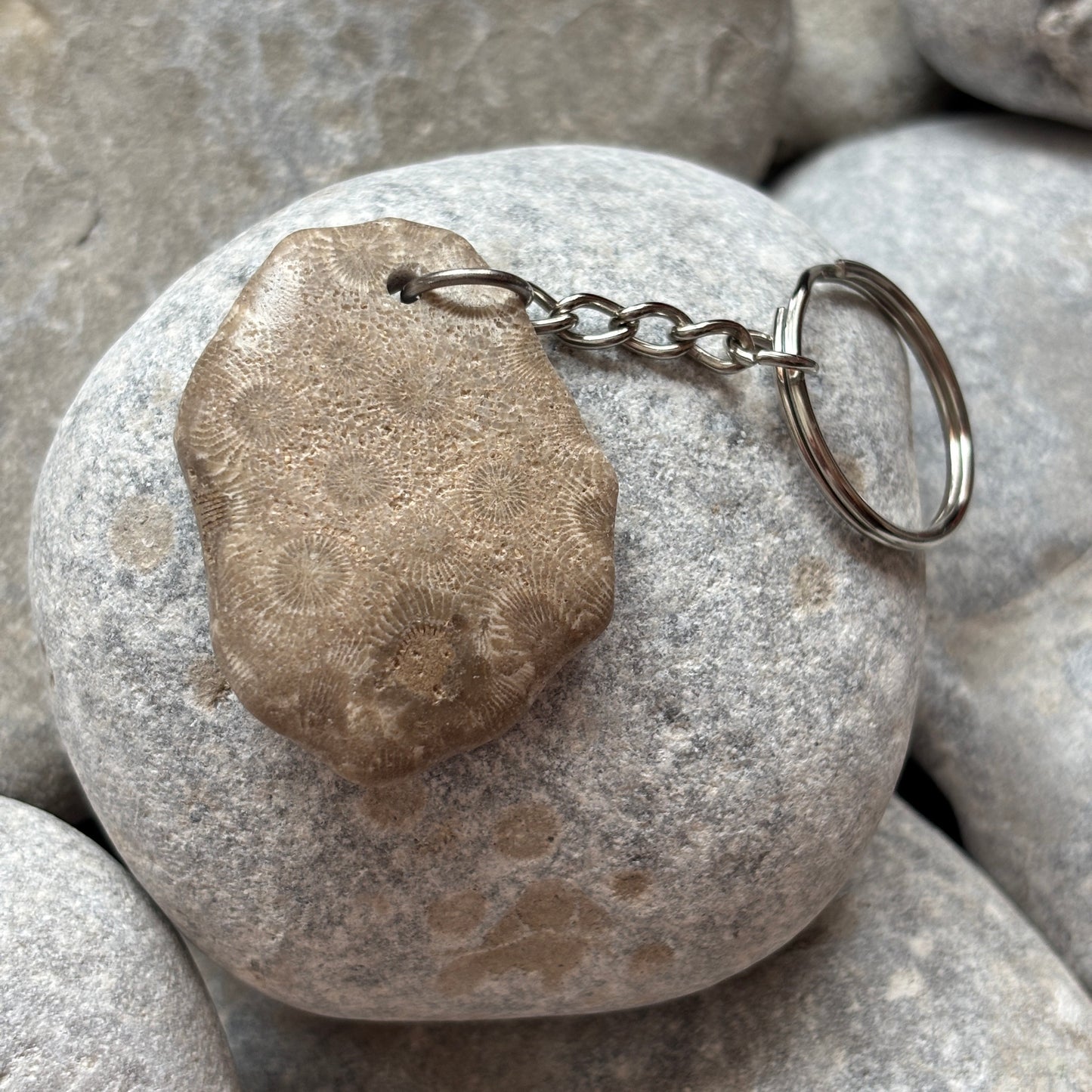 Polished Petoskey Stone Keychain