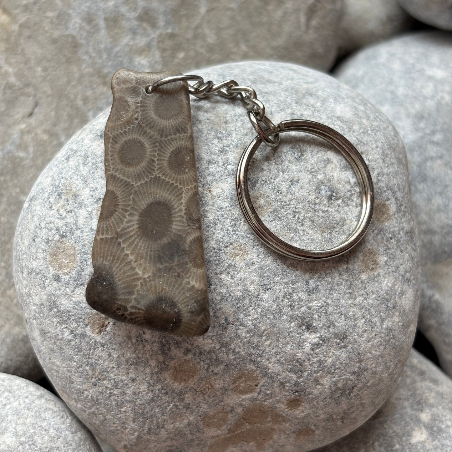 Polished Petoskey Stone Keychain