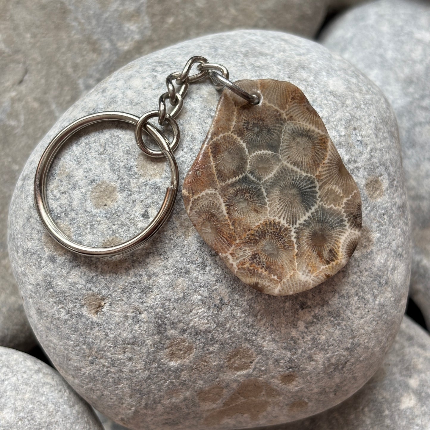 Polished Petoskey Stone Keychain