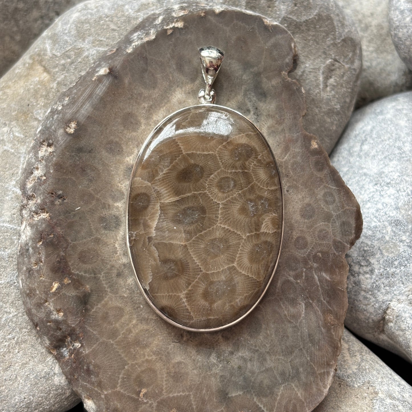 Petoskey Stone Necklace Pendant Encased in Sterling Silver Oval Shape