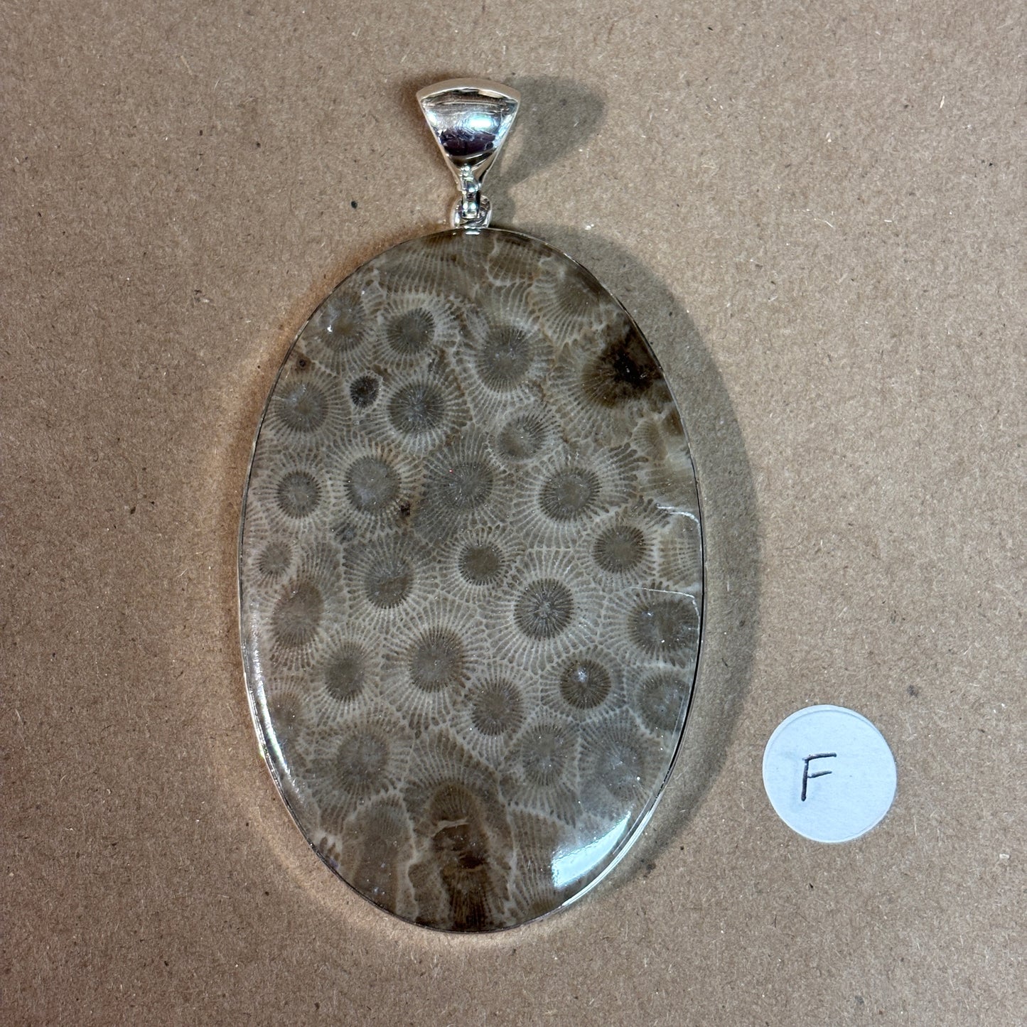 Petoskey Stone Necklace Pendant Encased in Sterling Silver Oval Shape
